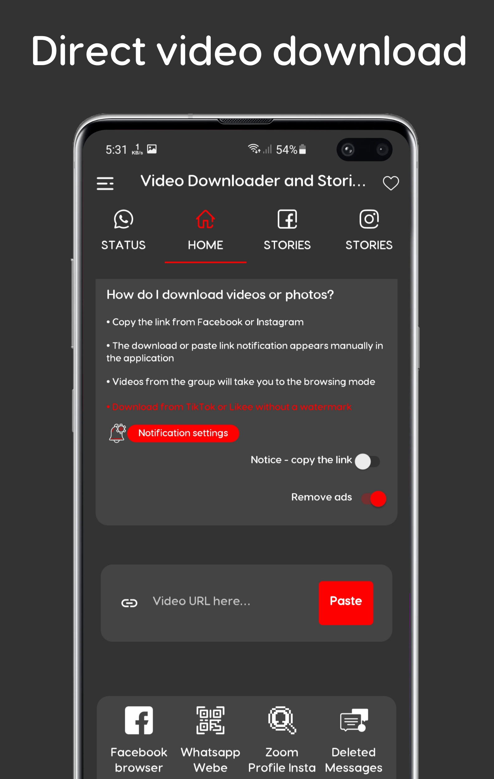 Video-Downloader-and-Stories-1.png