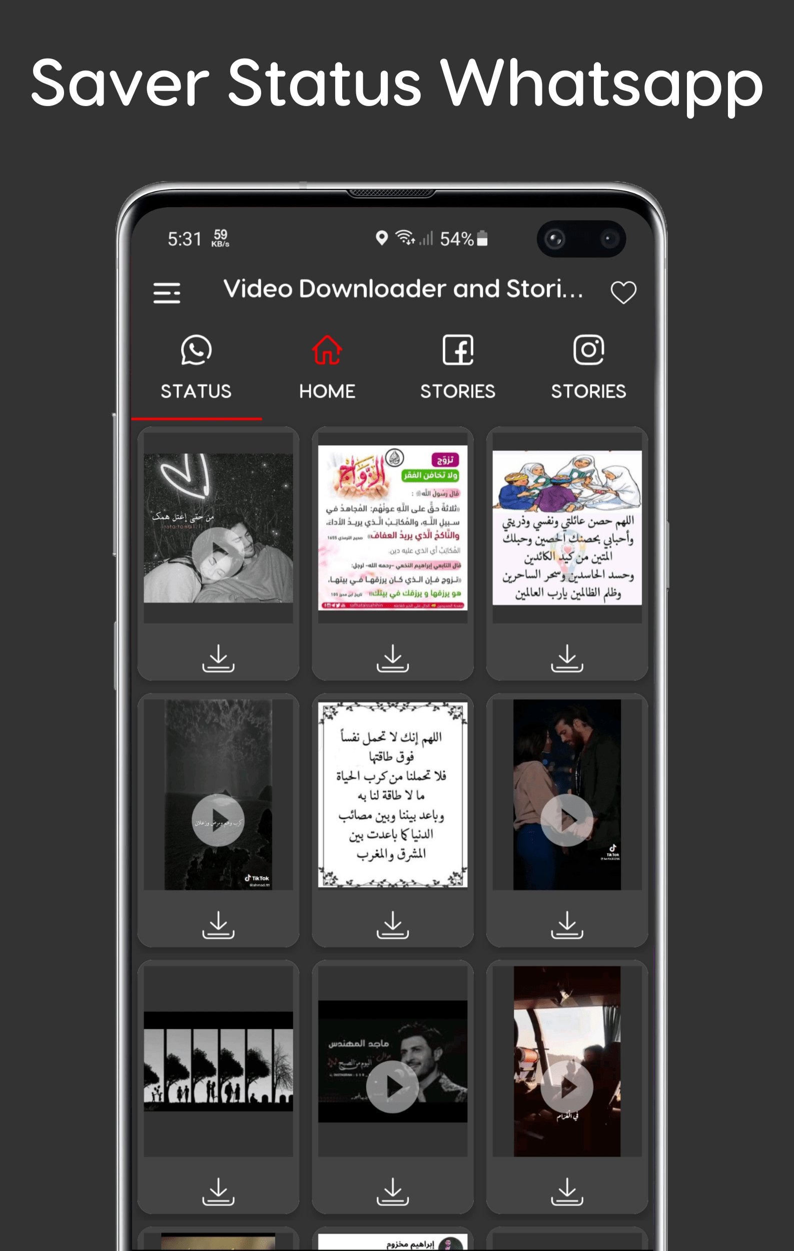 Video-Downloader-and-Stories-4.png
